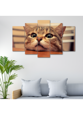 Kedi Temalı 5'li Mdf Tablo